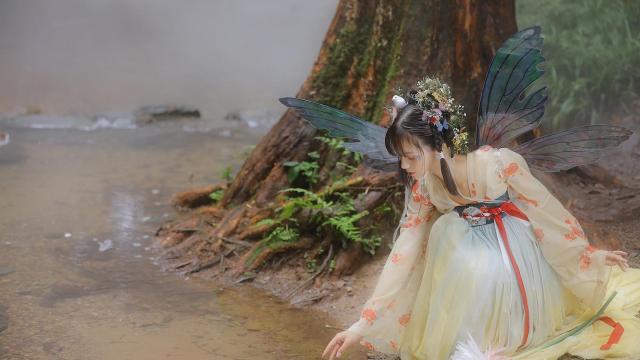 胡萝卜的营养价值(胡萝卜有什么营养)
