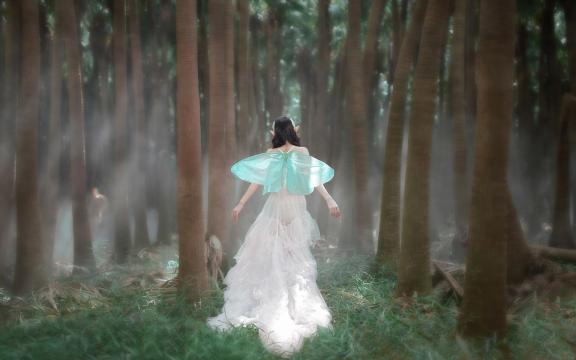 家庭炸鸡的制作方法(家庭炸鸡腿(无面包糠)怎样制作？)