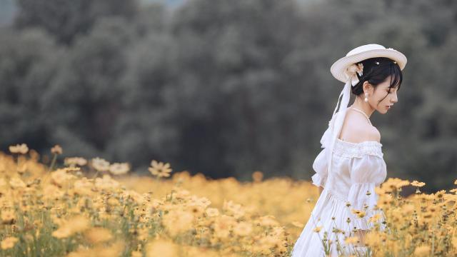 电炖锅银耳慢炖：一夜美味尽在其中！