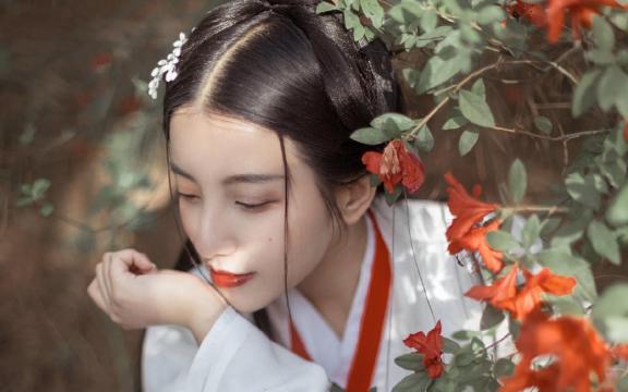 图解伊利牛奶的各式口味