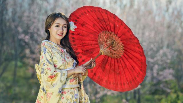 肉桂茶多少钱一斤(肉桂茶多少钱一斤,2023年高级肉桂茶2000元起步)