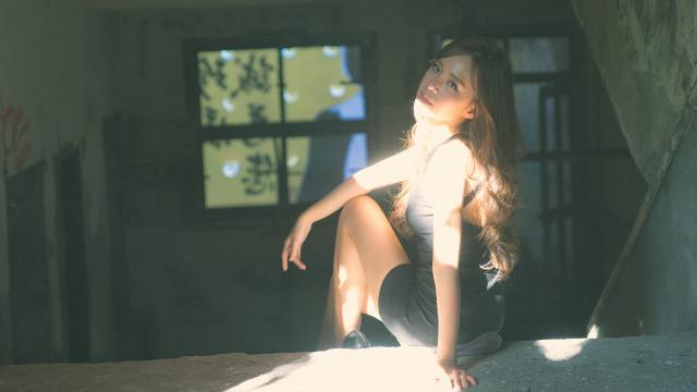 松子树是什么样子(可以吃的松子树长啥样)