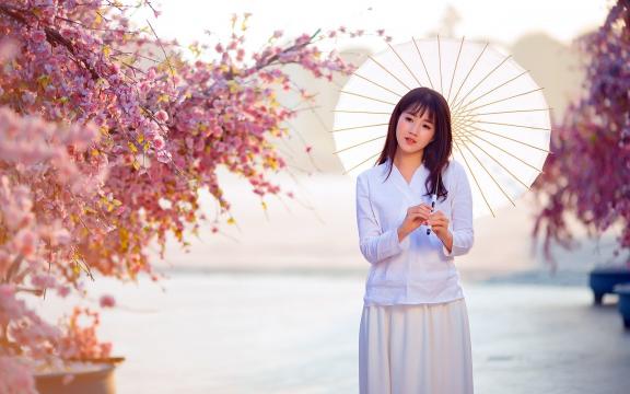 小白菜的营养成分(小白菜有哪些营养价值？)