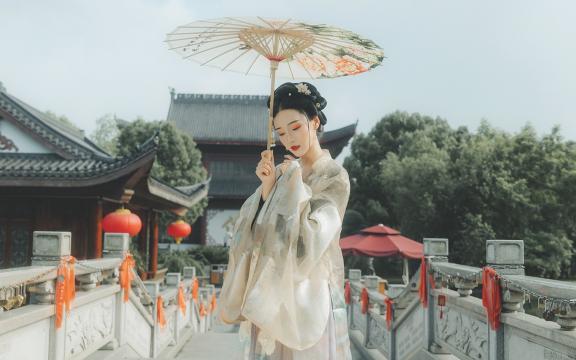 绿豆发芽、生长、结果的全过程